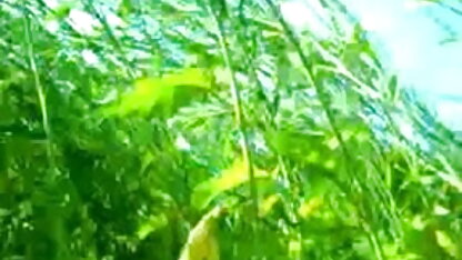 सुंदर चैनल प्रेस्टन में गधा और गड़बड़ डबल प्रवेश द्वारा 2 सनी लियोन सेक्सी ब्लू पिक्चर फुल एचडी बड़े काले लंड